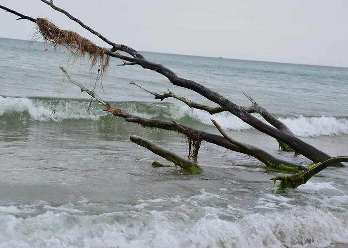 別荘 Below Comfortable