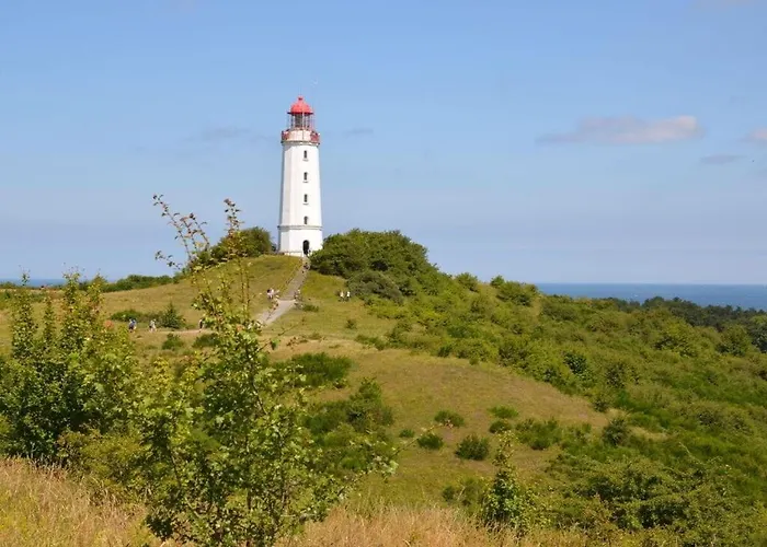 Below Comfortable 別荘