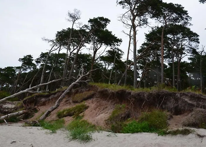 Below Comfortable 別荘